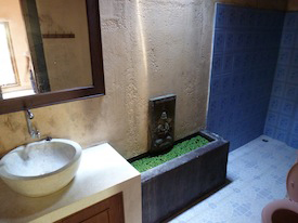 bali volunteers bathroom special needs